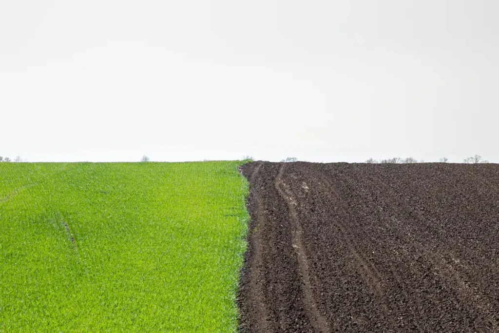 وارفوریک اسید وارنبو